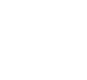 licor 43